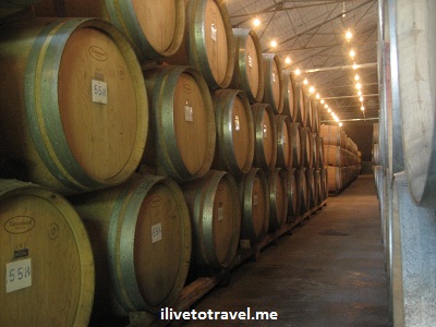 Mendoza Wine barrels in Mendoza wineries in Argentina