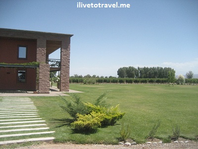 IMG_2460 Land around a winery in Mendoza, Argentina