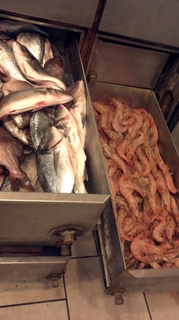 The catch of the day at Kounelas, Mykonos, Greece