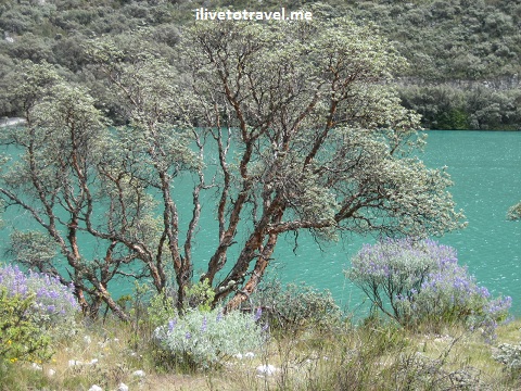 Laguna Llanganuco, next to Mt. Huascarán in the Ancash region of Peru
