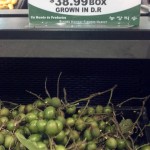 Quenepas (PR/Dom Rep) or mamoncillo (Cuba)