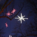 IMG_7528