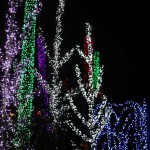 IMG_7579