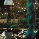 IMG_7647