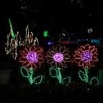IMG_7662