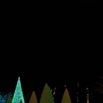IMG_7716