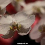 IMG_7722