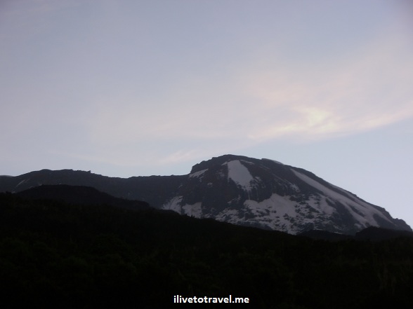 The summit of Kilimanjaro from Machame Camp
