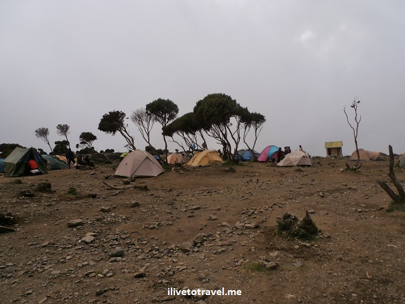 Shira Camp in Mt. Kilimanjaro