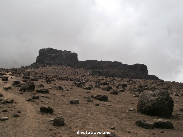 Alpine desert in Mt. Kilimanjaro near the Lava Tower