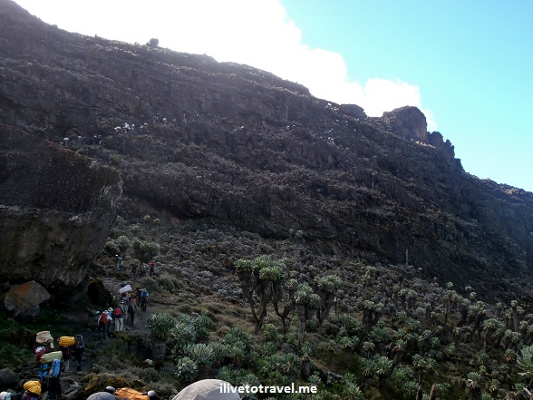 The Barranco Wall on the Machame Route climbing Mt Kilimanjaro