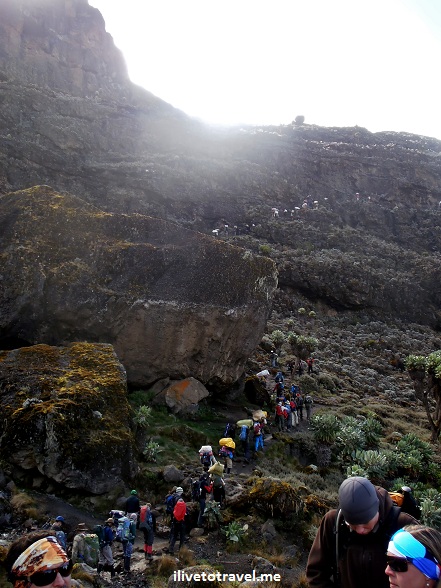 The Barranco Wall on the Machame Route climbing Mt Kilimanjaro