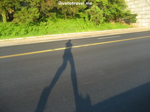 Runner along the Potomac River casts a shadow on the pavement
