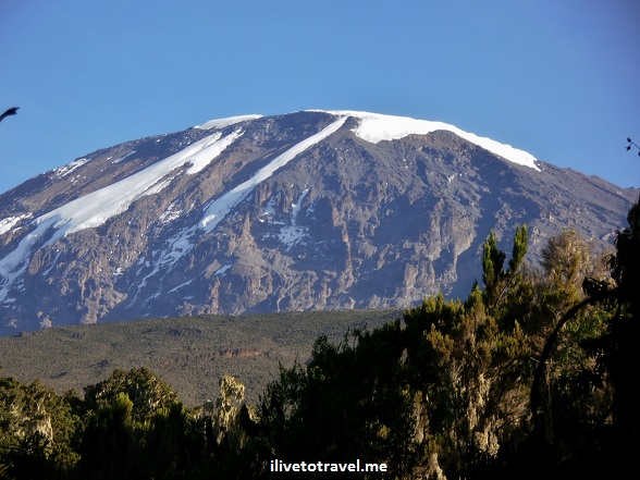 One final look up at Kilimanjaro from the final stretch of the Mweka Route