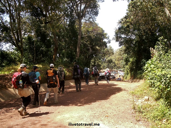 Exiting the Mweka Route trail to hiti Mweka Gate in Kilimanjaro