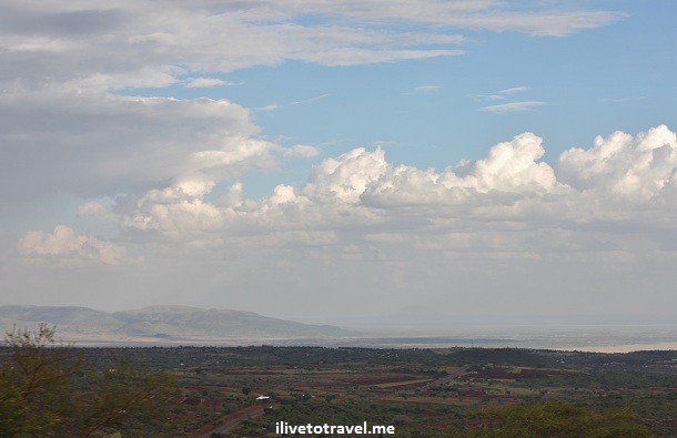 Tanzania’s Lake Manyara: A Cool and Easy Safari