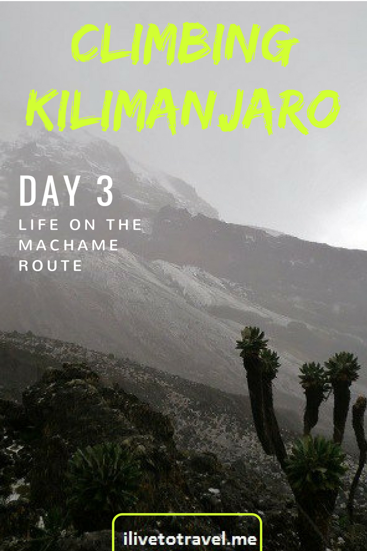 Ascenso a la Cima del Monte Kilimanjaro – Tercer Día