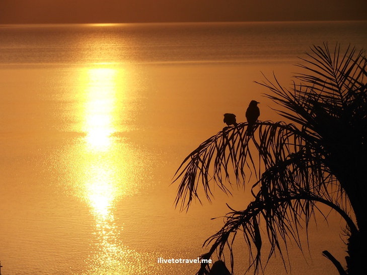 From Suite to Tent:  What Made Accommodations Memorable in Jordan