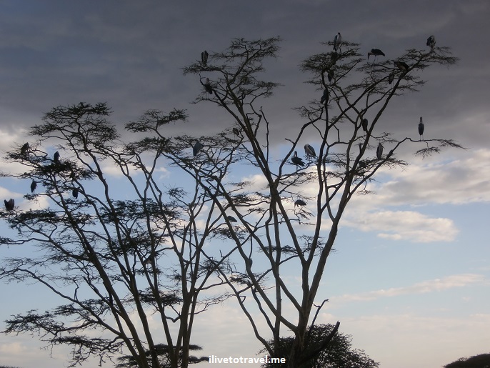 Top 16 Memorable Moments from 2013 in Photos