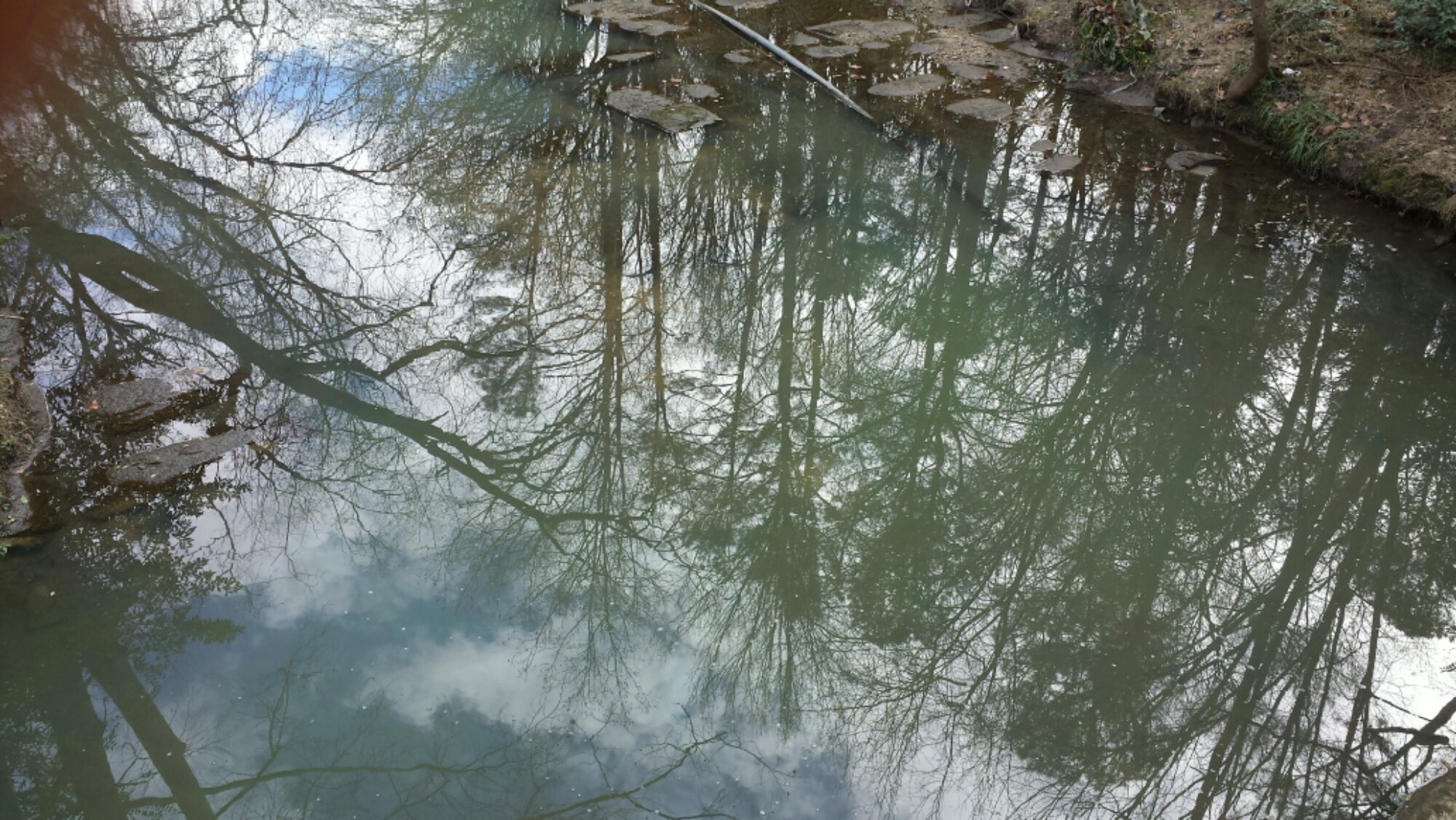 Photo of the Week: Tanyard Creek Reflection