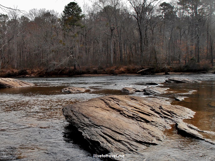 Chattahoochee River Hikes:  Island Ford