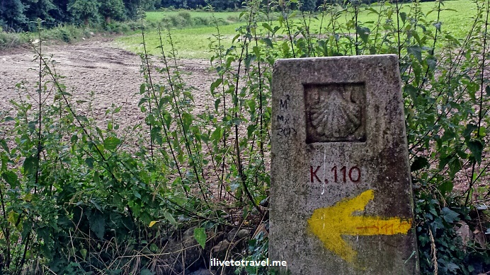 Camino Packing and Training Tips