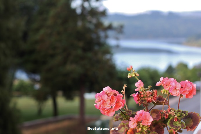 On the Camino de Santiago:  Day 2 from Barbadelo to Portomarín