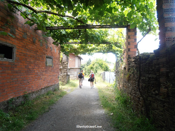 On the Camino de Santiago:  Day 5 from Boente to Salceda