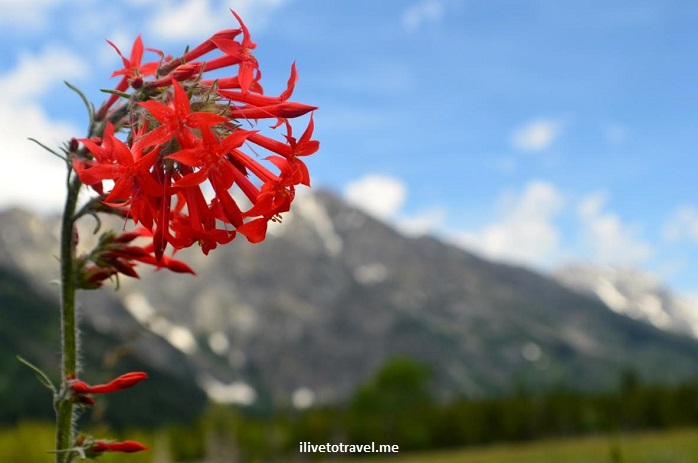 Photo Essay:  Grand Teton National Park, Wyoming