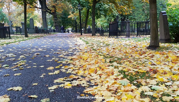 Around Katarina Church in Stockholm