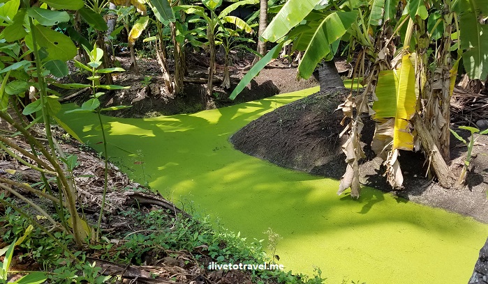 Cycling around the Thai Countryside