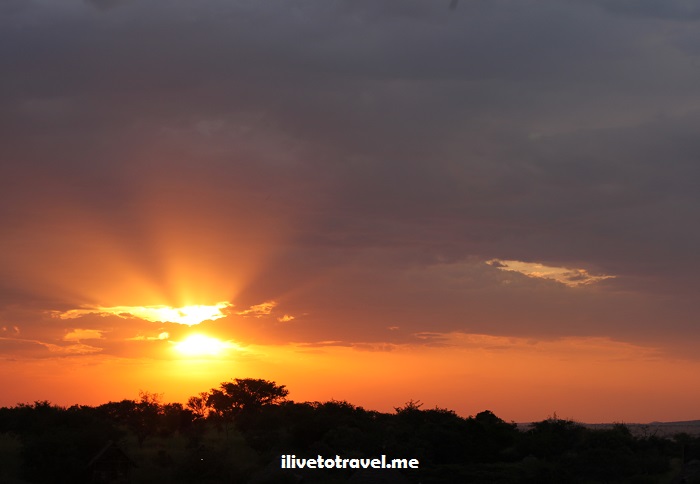 How to Do a Safari in the Serengeti