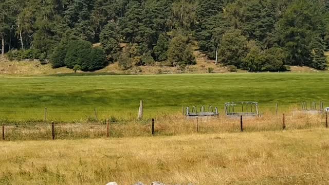 "Green" waves of grain!  So long, #Scotland cc @visitscotland